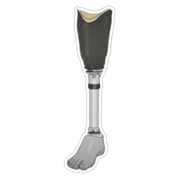 Aspire Mobility - Prosthetics