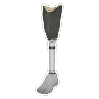Prosthetic Leg
